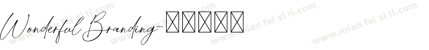 Wonderful Branding字体转换